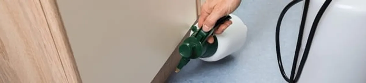 Bed bug exterminator treating baseboards and cracks with targeted spray in Scottsdale, AZ