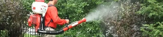 Mosquito control technician fogging shrubs and landscaping for mosquito treatment in Scottsdale, AZ