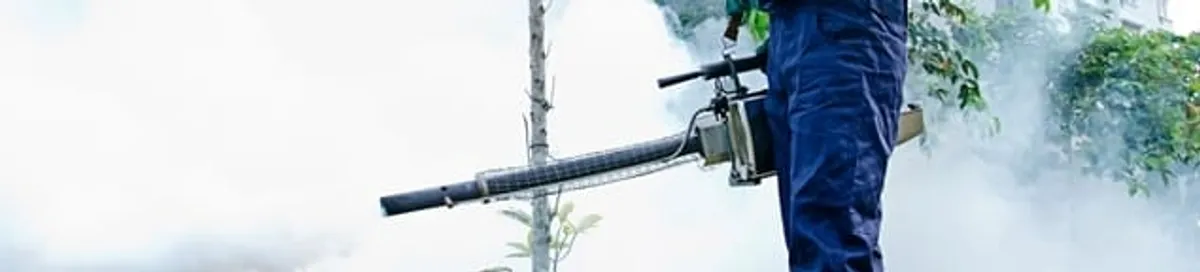 Pest control technician fogging an outdoor area for insect control in Scottsdale, AZ