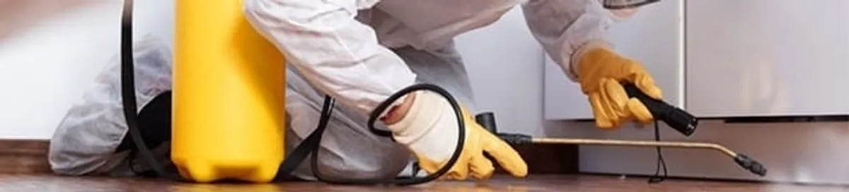 Roach exterminator treating cracks and crevices along kitchen baseboards in Scottsdale, AZ