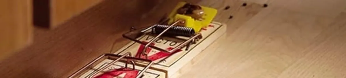 Rodent trap set indoors for rodent control and prevention in Scottsdale, AZ